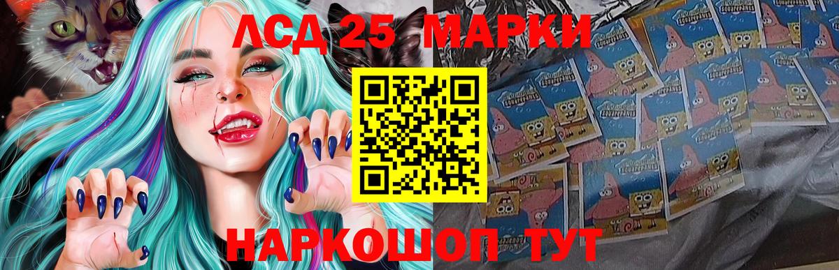 Лсд 25 экстази ecstasy  ЛСД экстази ecstasy  Вход с VPN  Курск 