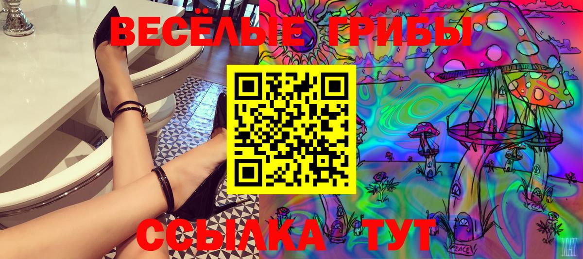 Галлюциногенные грибы Cubensis Курск