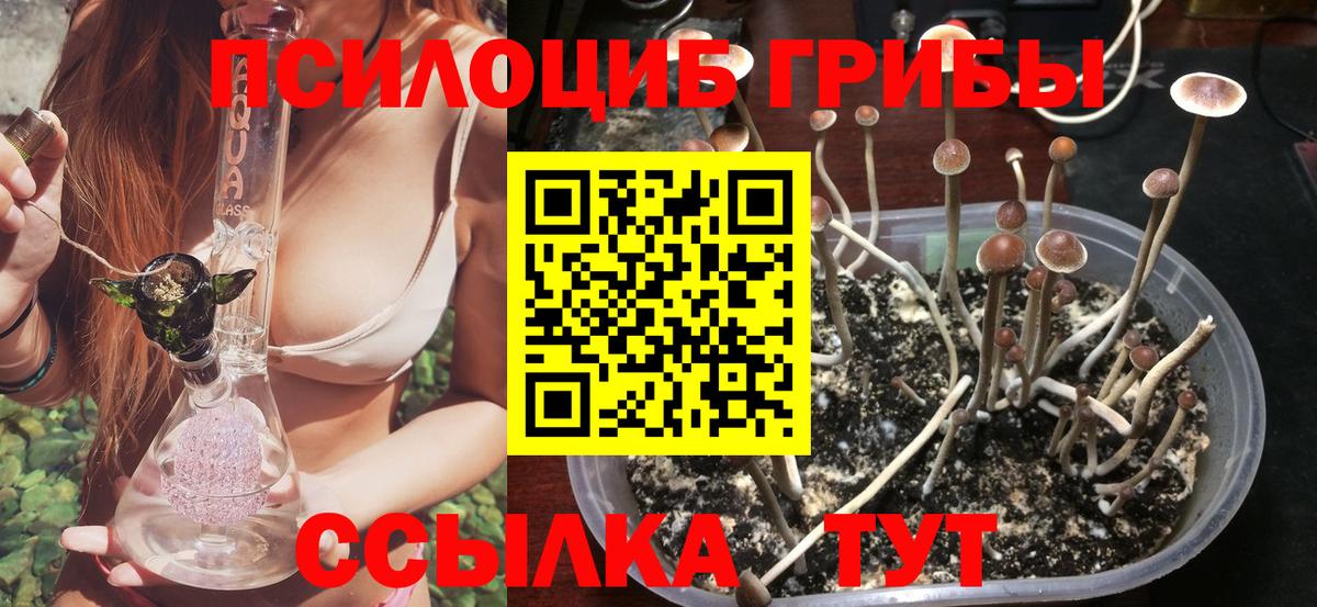Псилоцибиновые грибы Magic Shrooms  Курск 