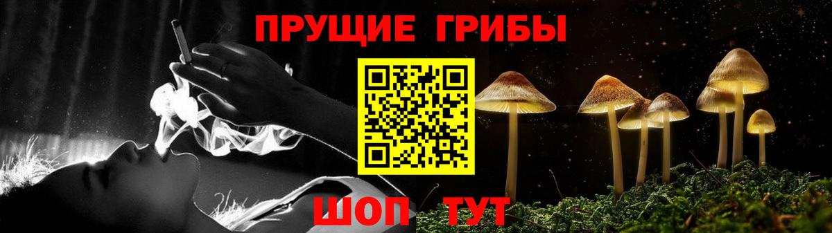 Псилоцибиновые грибы Cubensis  сколько стоит  Курск  Галлюциногенные грибы Psilocybe  Вход с VPN 